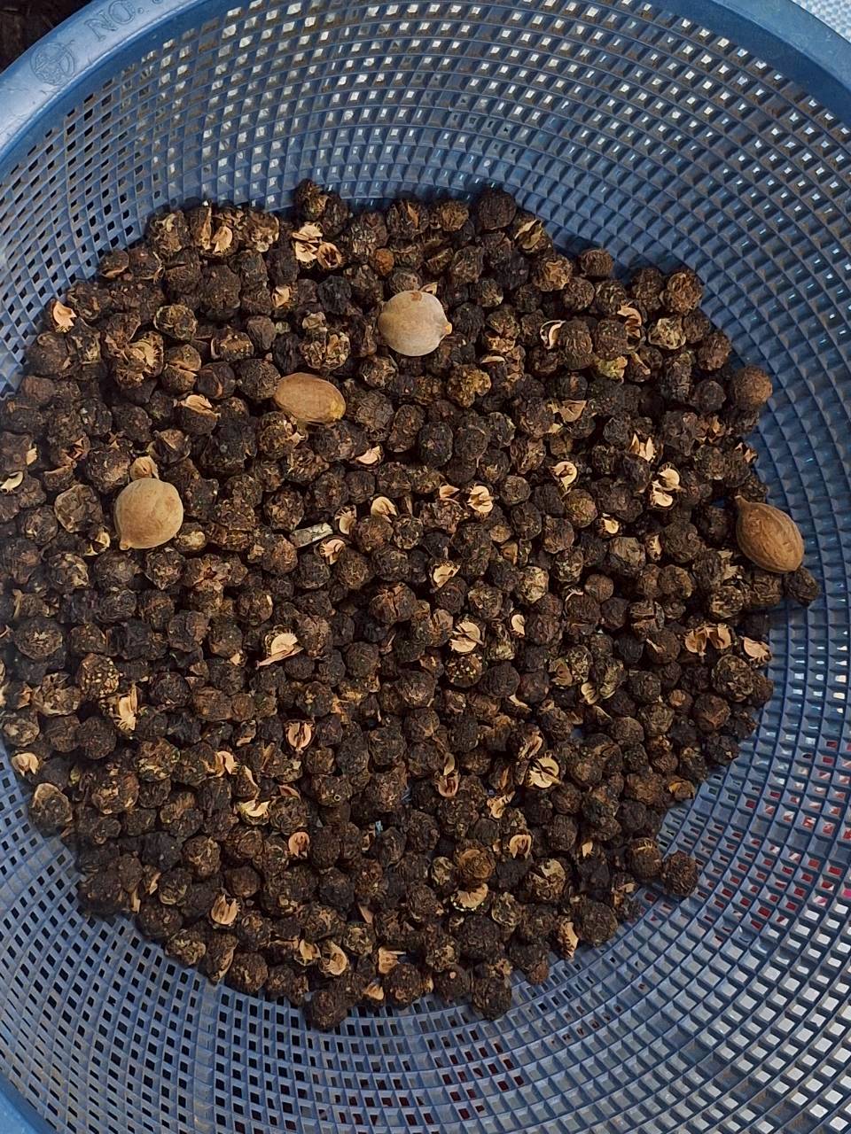 title - ผู้ตรวจราชการ ส.ป.ก. ร่วมประชุมคณะทำงานติดตามเร่งรัดการใช้จ่ายงบประมาณประจำปีงบประมาณ พ.ศ. 2569 ของสำนักงานการปฏิรูปที่ดินเพื่อเกษตรกรรม ครั้งที่ 1/2569 และประชุมตรวจราชการและติดตามความก้าวหน้าผลการดำเนินงานตามแผนการตรวจราชการของผู้ตรวจราชการสำนักงานการปฏิรูปที่ดินเพื่อเกษตรกรรม ประจำปีงบประมาณ พ.ศ. 2569 รอบที่ 1 เขตตรวจราชการที่ 11 จังหวัดสกลนคร